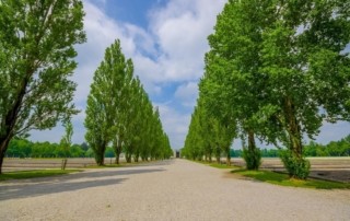 Immobilien Dachau kaufen